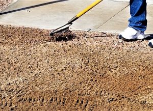 Concrete walkway resurfacing Palm Beach Services