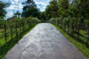 Palm Beach Concrete Walkway Resurfacing: Benefits and Tips