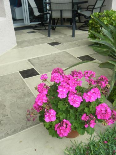 N.M. 2010  XMAS,B.D.4TH,UTJOBS 105